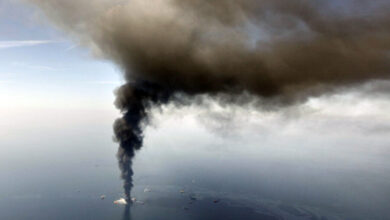Carnival files suit over bp oil spill
