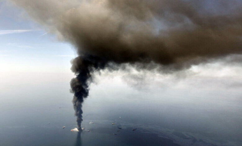 Carnival files suit over bp oil spill