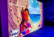 Carnival panorama to have skyzone trampoline park