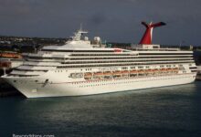 Carnival destiny