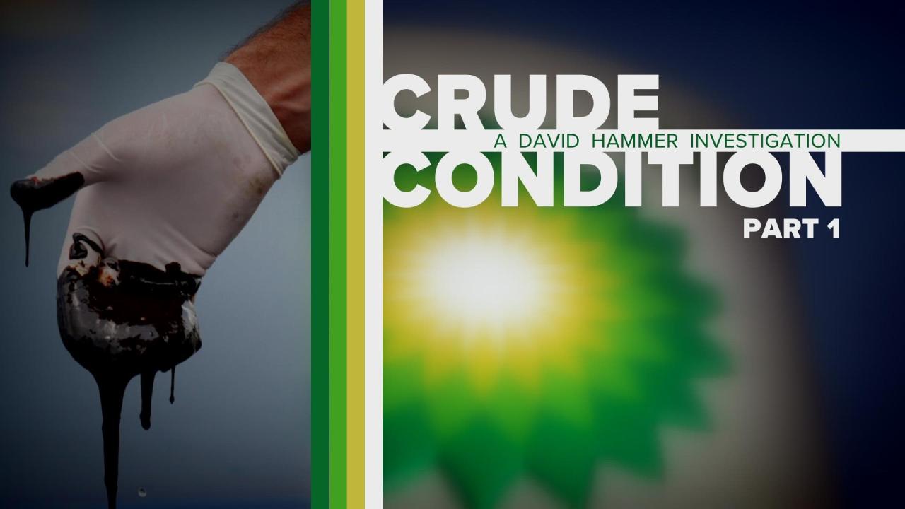 Spill Carnival files suit over bp oil spill