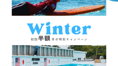Carnival kicks off winter ad campaign