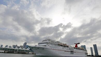 Carnival to create chinese brand in joint venture