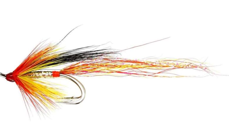 Carnival patriot is on the selling block