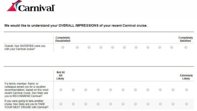 Carnival introduces agent survey