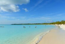 Carnival provides details on compliance settlement