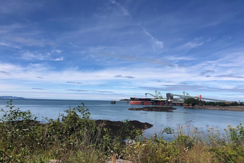 Carnival s late notice on berths leaves bermuda disappointed