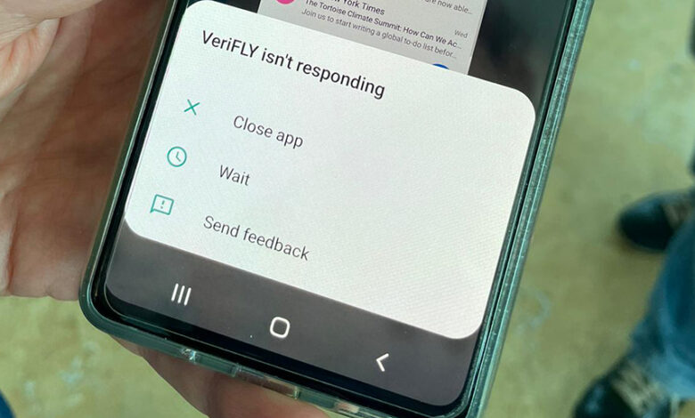 Carnival testing verifly app