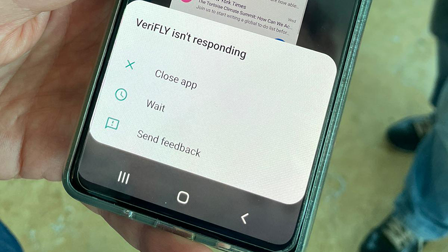 Carnival testing verifly app