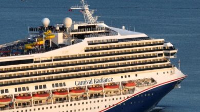 Carnival reports 10 profit increase despite bad economy