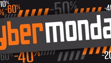Carnival logs its best ever cyber monday