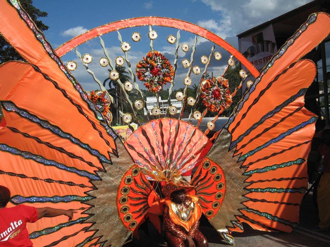 Carnival names its first tour operator of the year