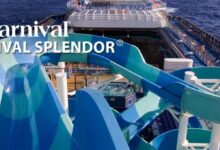 Carnival splendor s power knockout perplexes marine experts