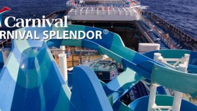 Carnival splendor s power knockout perplexes marine experts