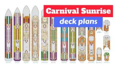 Carnival star set to assume joint control of ncl