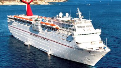 Carnival paradise cancels another sailing