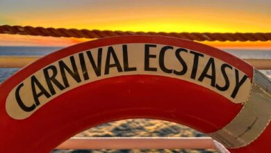 Carnival expected to delay ecstasy relaunch