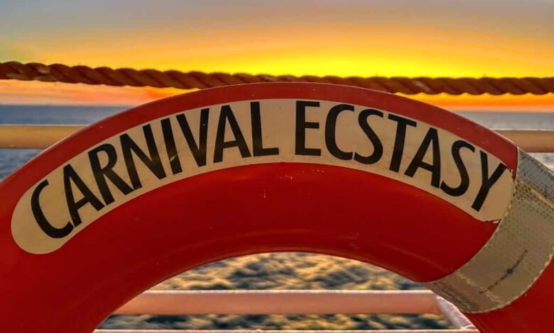 Carnival expected to delay ecstasy relaunch