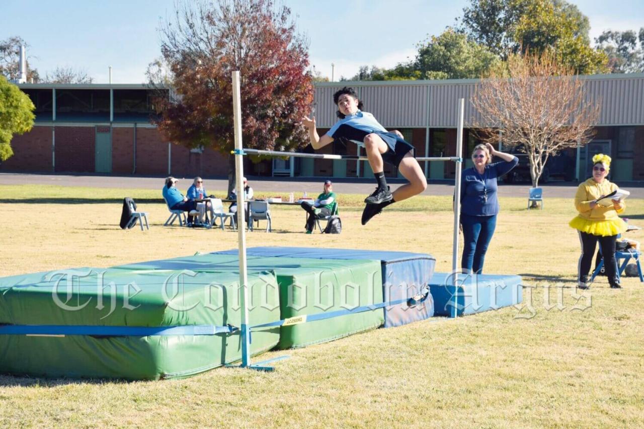 Carnival reports record booking week