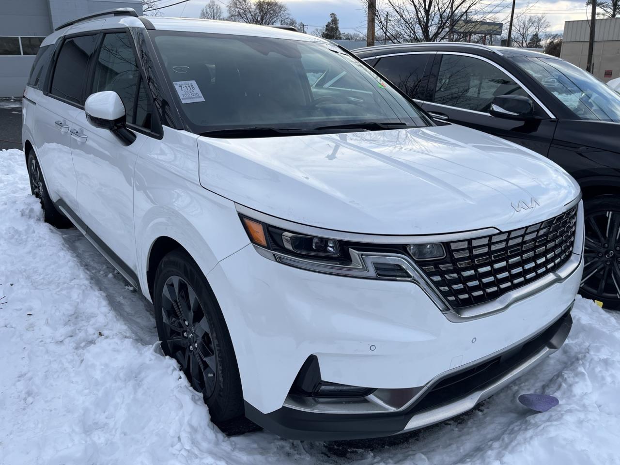 Carnival site to ease passenger registration