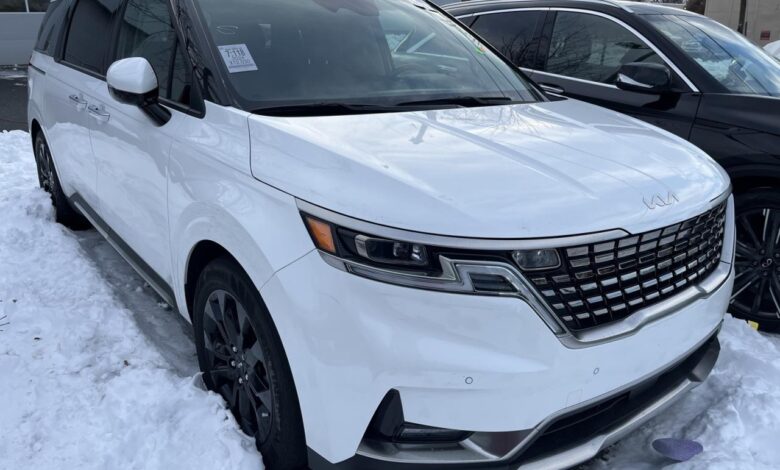 Carnival site to ease passenger registration