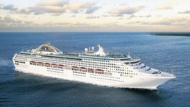 Carnival settles sexual assault suit