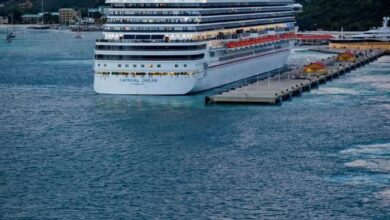 Carnival simplifies fare structure