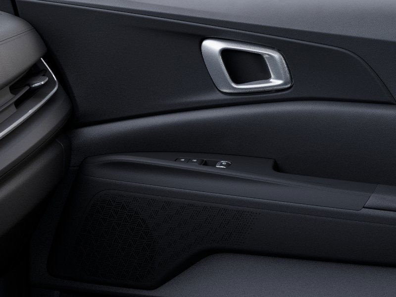 Carnival site to ease passenger registration