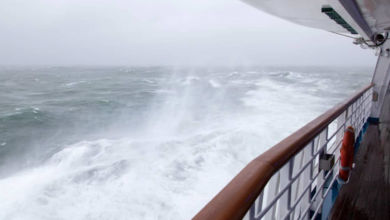 Carnival spirit docks in sydney after waiting out storm