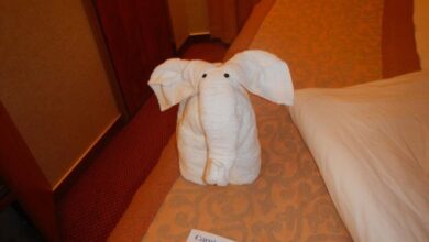 Splendor carnival follows