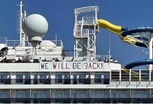 Carnival splendor cruise director praises crew in blog