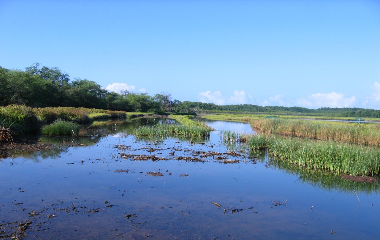 American safari reaches agreement with molokai residents