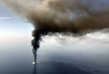 Carnival files suit over bp oil spill