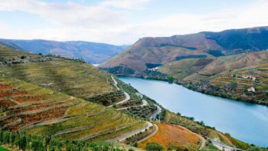 Avalon got to the douro in its own time and way