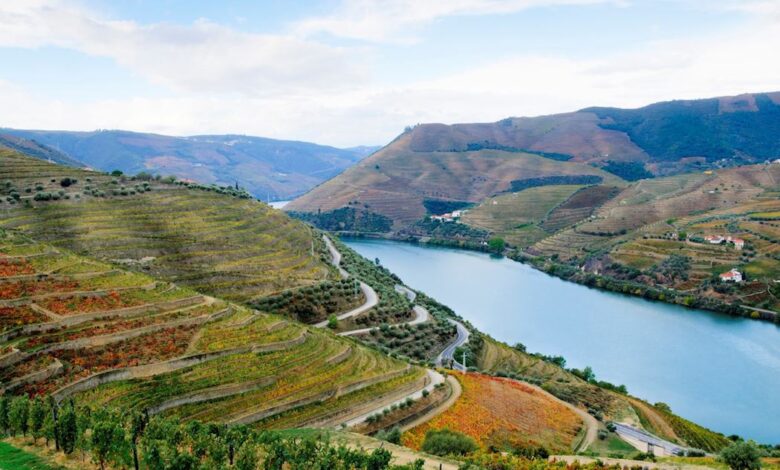 Avalon got to the douro in its own time and way