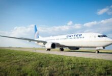 Barbados flights united year round