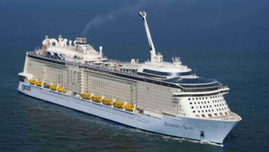 Anthem of the seas christened