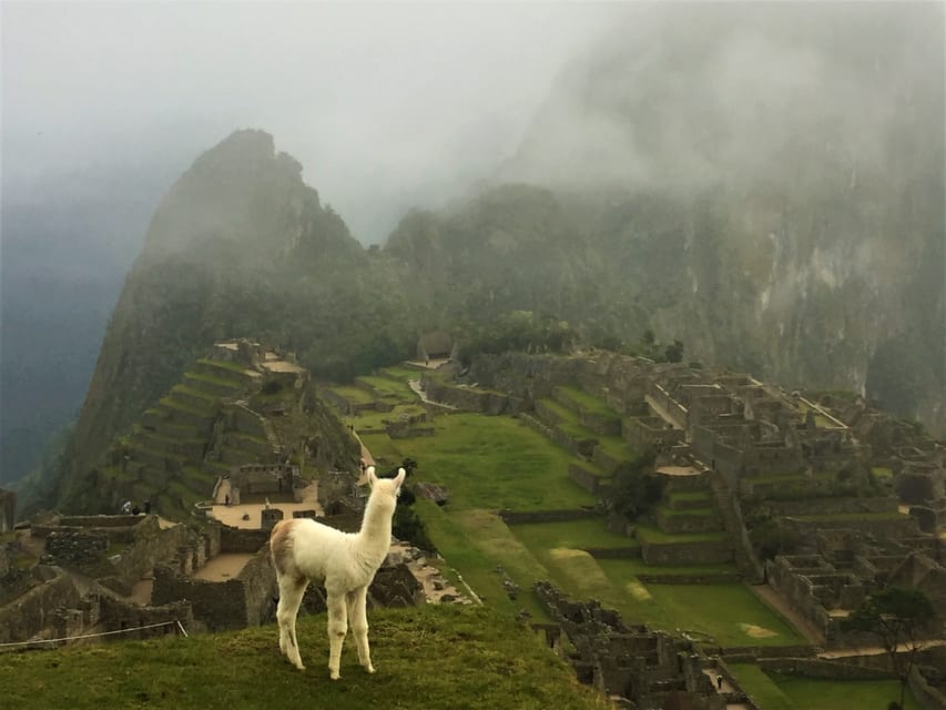 Antiquity new memories on disney machu picchu tour