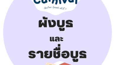 Carnival takes millennium bookings