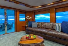 American safari to launch scheduled private yacht cruises