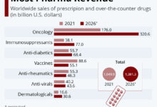 Carnival s q3 profits increase 47