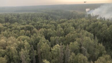 Alaska wildfire disrupts operations hal resort