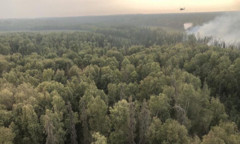 Alaska wildfire disrupts operations hal resort