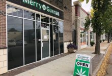 Cruise scam carnival warning issues