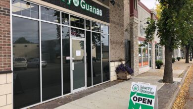 Cruise scam carnival warning issues