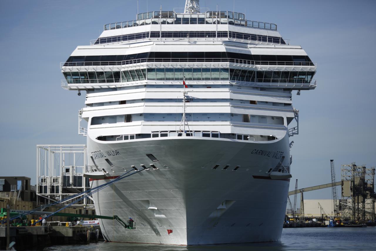 Carnival corp continues streak record revenue