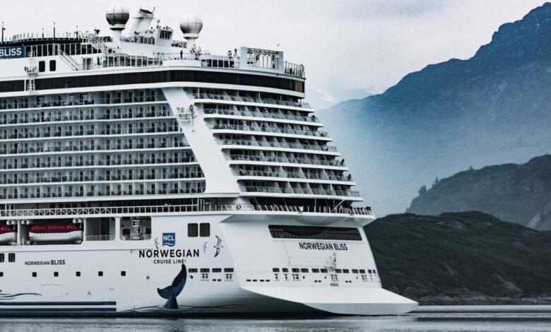 Carnival seeks norwegian investor support in bid for ncl