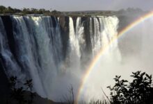 A new law in zimbabwe impacts tourism