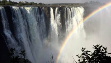 A new law in zimbabwe impacts tourism