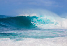 All gather on oahus north shore when the big ones come